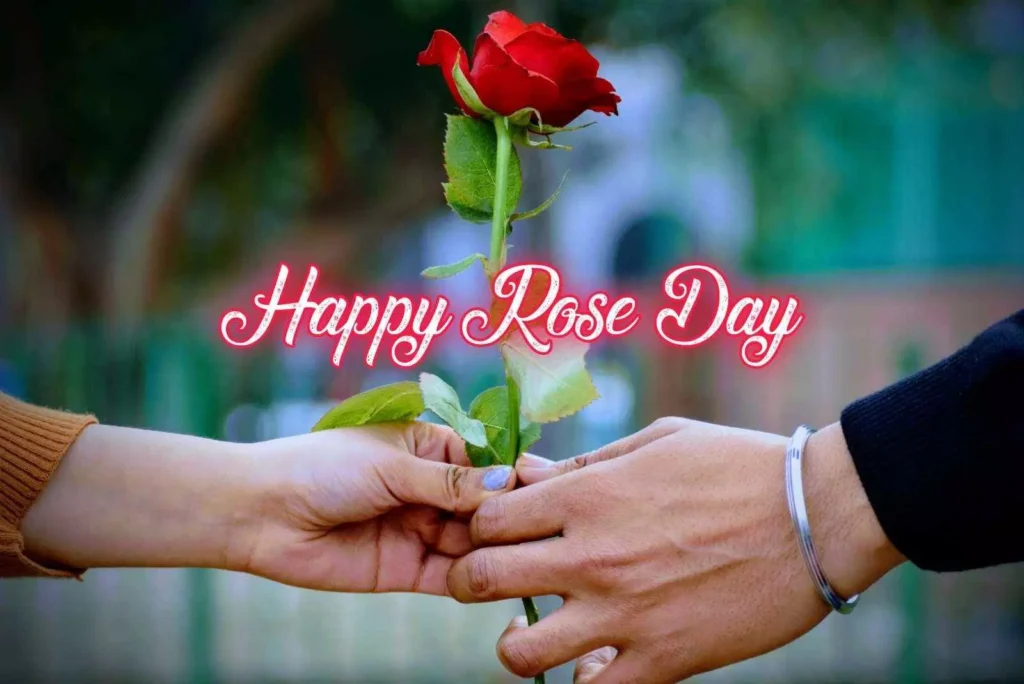 Rose day